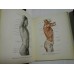 ATLAS DE ANATOMIE UMANA - SINELNIKOV - Volumele 1 si 2 - in limba spaniola